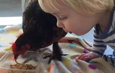 Sessions for pre-schoolers