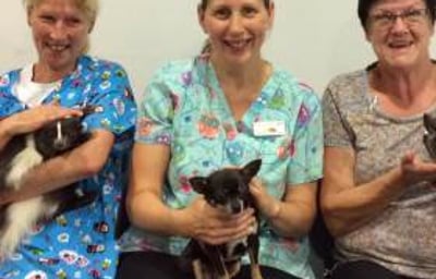 Sessions in hospitals