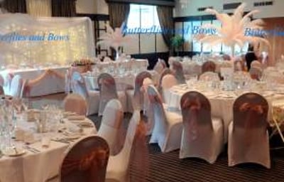 Ostrich Feathers With Backdrop and Chair Covers Full Set Up