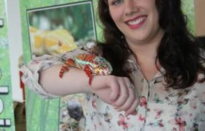 Animals in Hands Visits