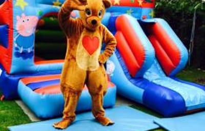 Pig Castle and Bear Mascot Costume