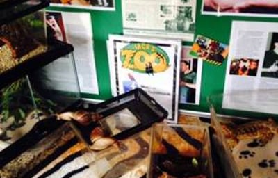 Some Our Reptiles at an Event