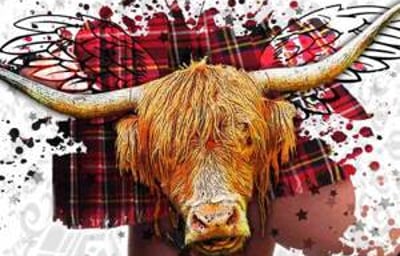 Ceilidh Minogue album