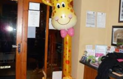 Giraffe in the Jungle