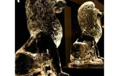 Lions to make a grand entrance