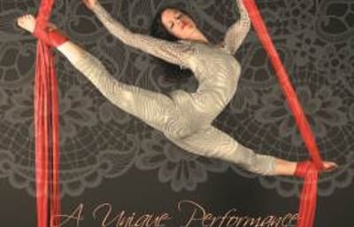 Aerial Silks- Weddings