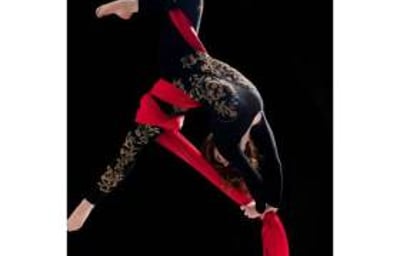 Circus & Aerial Silks