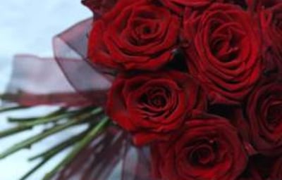 Red rose bouquet