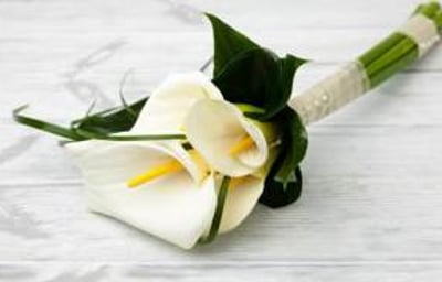Calla lily bouquet