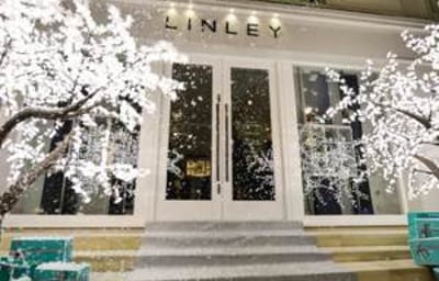 3m Grande in the Snow at the LINLEY Christmas Party