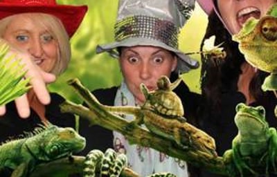 Green Screen Photo Booth Hire