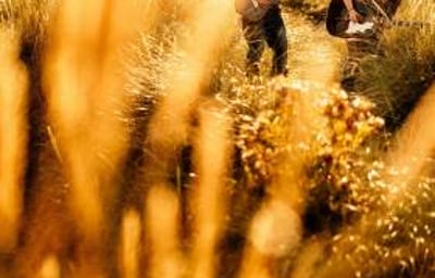 43171524_2048419918545999_2535419452250390528_o