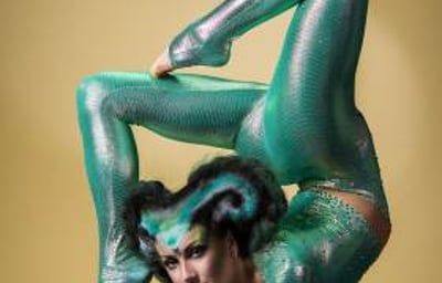 Circus Acts - Acrobats, Aerial Acts, Contortionists, Fire Eaters, Hoop Dancers, Jugglers and more.