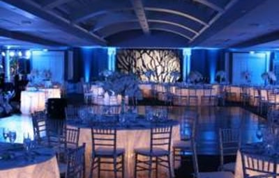 Wedding LED Mood Lights