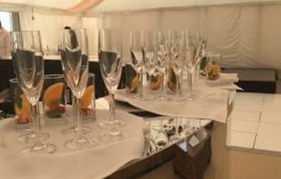 Devoted Deluxe image2