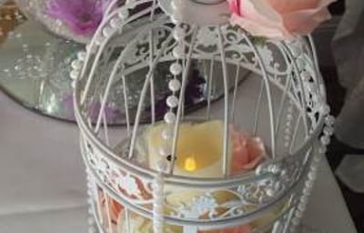 Elegant_Bird_Cage_Centrepiece_Embellish_Venue_Styling