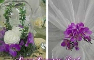 1486062_965340480214922_2509574977191728433_o