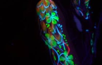 UV painting - Psytrance night - Frome