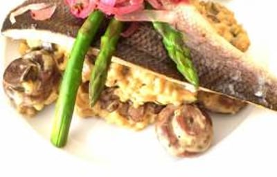 Seabass risotto