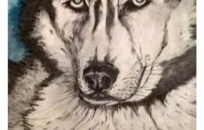 PicturesLab_AutoAdjust_FX_2017-03-23_11-37-11