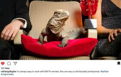 Our_BAFTA_Iguana__2017_BAFTA_AWARDS