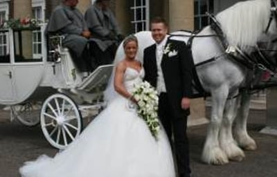 hourses Bride & Groom 16