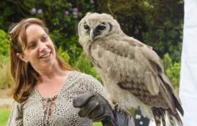 Handle Birds of Prey