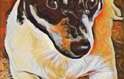 PicsArt_01-06-02.29.40