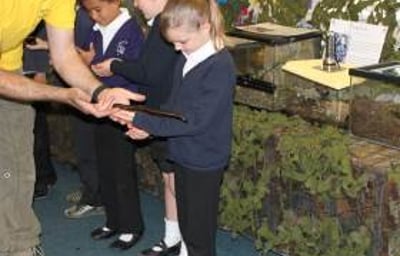 Bugfest school visits
