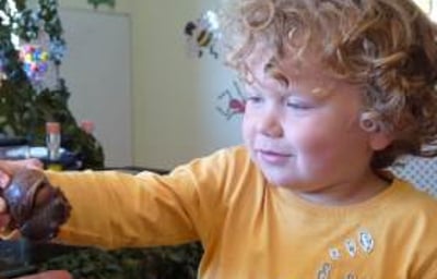 Bugfest pre-school visits