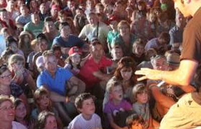 Bugfest shows at Carfest