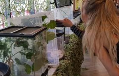 Bugfest at Bournemouth Uni 2019