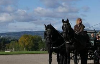 Carriage Driving Period Drama - Horse Drawn Carriage with pair of black friesian horses at National Trust from Marc Lovatt and The Cavalry of Heroes Film Horses and Carriages