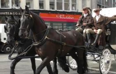 Publicity Stunt for Audible by Amazon Northanger Abbey London Black Friesian Horses from Marc Lovatt and The Cavalry of Heroes Film Horses and Carriages