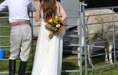llamas wedding2