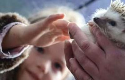 Great for childrens parties