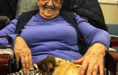 Animals as therapy and care home visits available