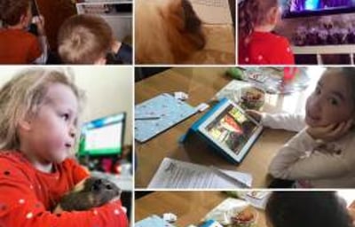 ZOOm, virtual animal encounters now available!