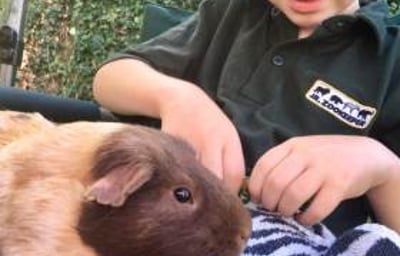 Get up close and personal to our habituated and trained Animal Ambassadors!