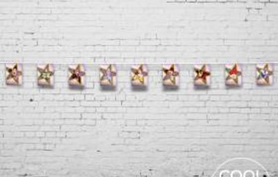 coollookparty_amelie_bunting