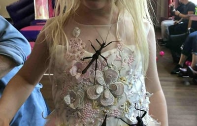 The giant stick insects