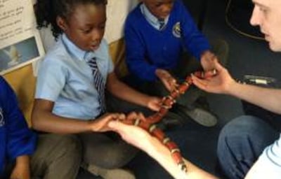 A very brave pupil holding Yazzoo the milk snake