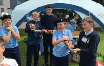 Some scouts meeting the animals