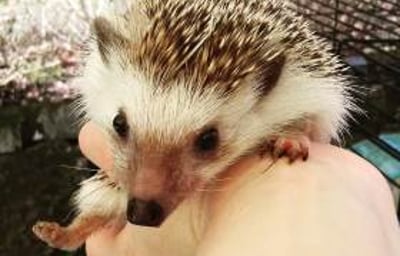 53681209_914358422235294_4843747460822073344_o (1)