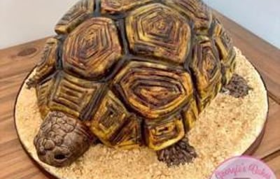 Tortoise