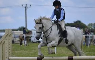 white-horse-jumping-child-white