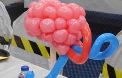 Brain for a Science Party