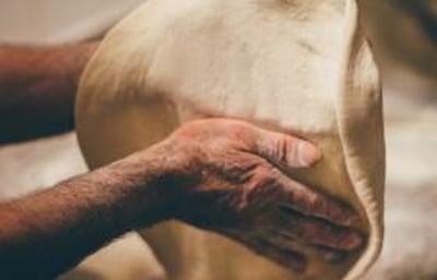 pizza napolitana oxford sorina