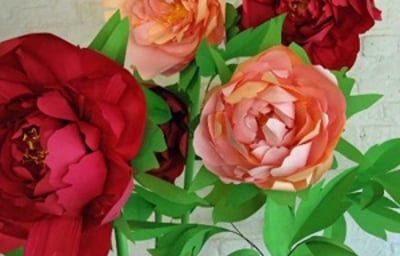Giant paper peonies. 