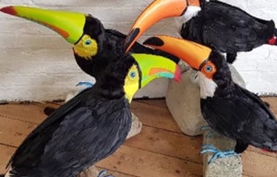 Life size toucans